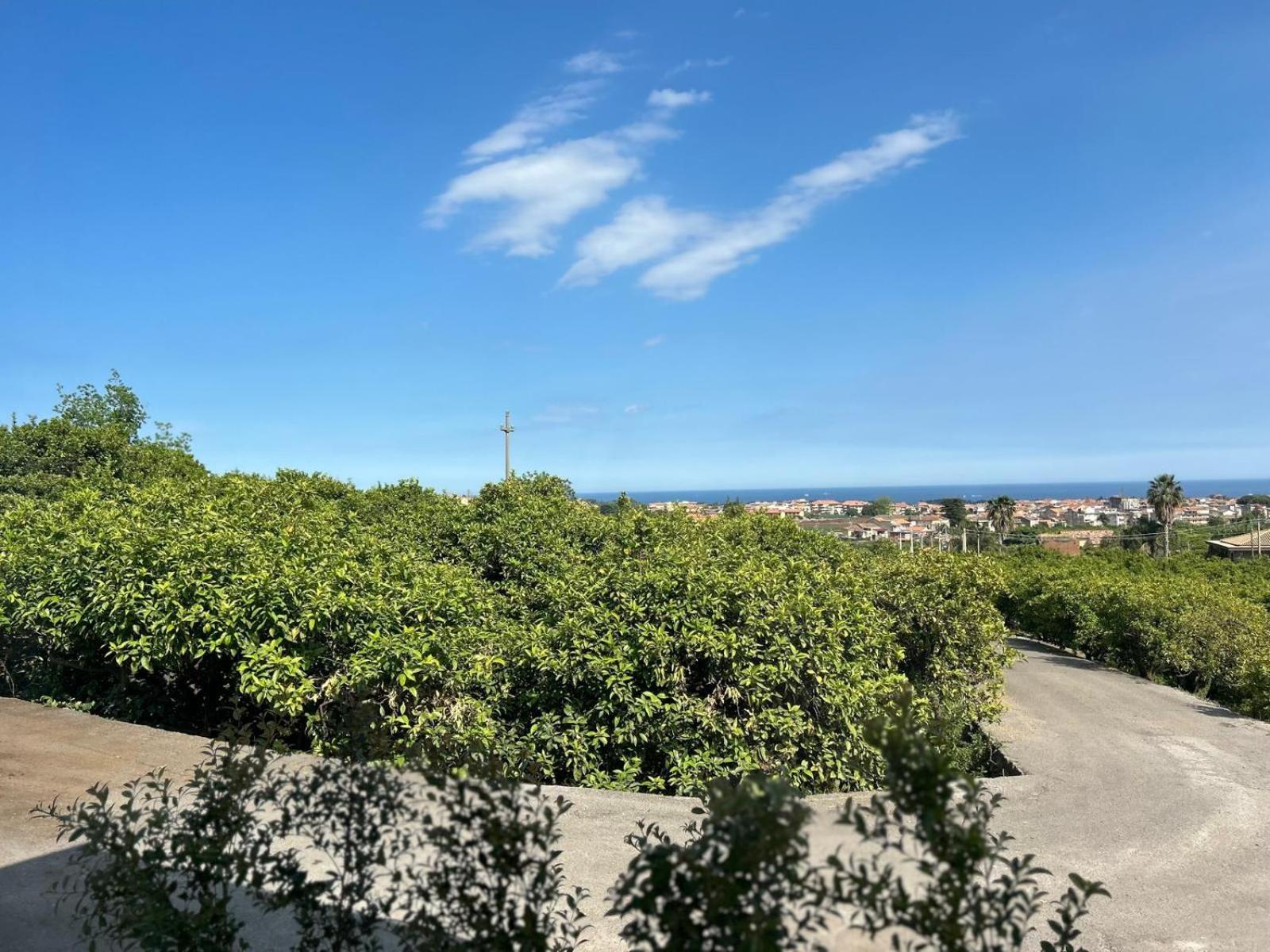 Villa Iiulia Hills 菲乌梅弗雷多·迪·希西尔 外观 照片